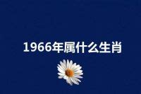 1966 年属什么|1966年属什么生肖 